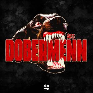 Dobermenn 2023