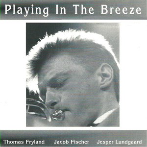 From This Time(feat. Jacob Fischer & Jesper Lundgaard)
