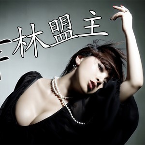 舞林盟主