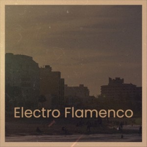 Electro Flamenco