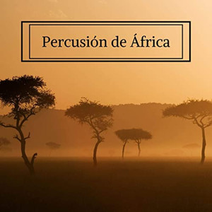 Percusión de África