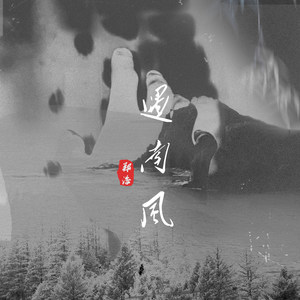 遇南风 (DJ沈念版)封面
