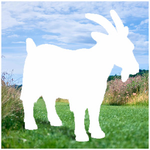 Kein Bock