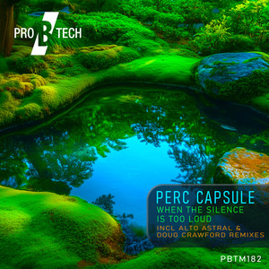 When the Silence Is Too Loud (Original)