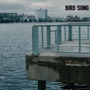 Bird Song