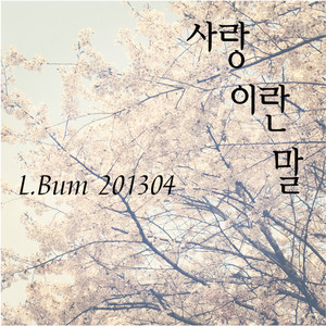 L.Bum2013.04