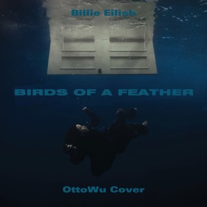 【男声版】BIRDS OF A FEATHER-Billie Eilish