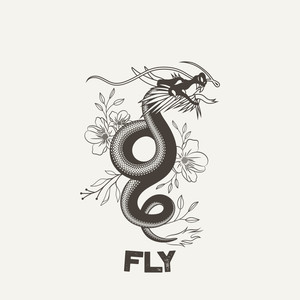 Fly