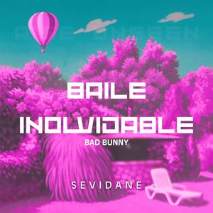 Baile Inolvidable (Special Version)