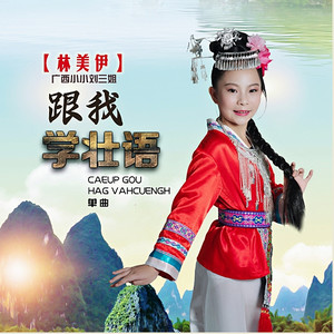 跟我学壮语