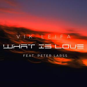 What Is Love (feat. Peter Larss)