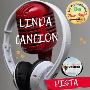 Linda canción Pista (feat. Los Primogenitos de Paso Ancho)