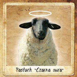 Pastuch