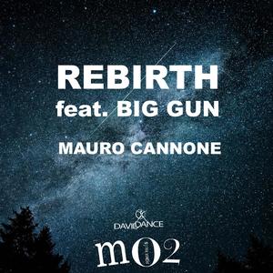 Rebirth (feat. Big Gun)