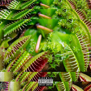 Venus Fly Trap (Explicit)