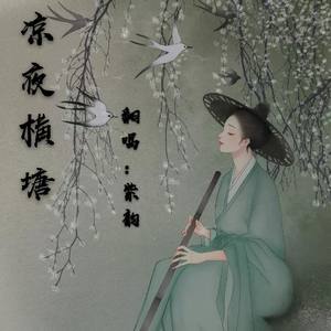 凉夜横塘-紫韵