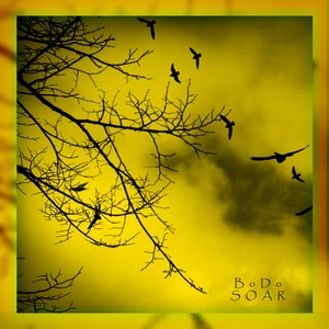 Soar (Original Mix)