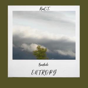 Entropy (Explicit)