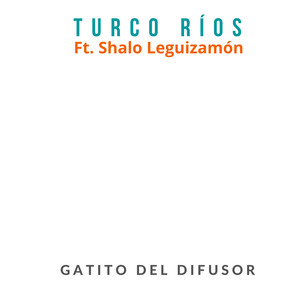 Gatito del Difusor