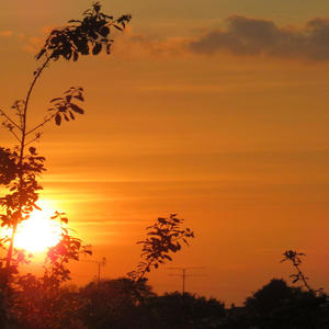 LOVE LETTER (feat. PassiveTheRapper & JaiDee)