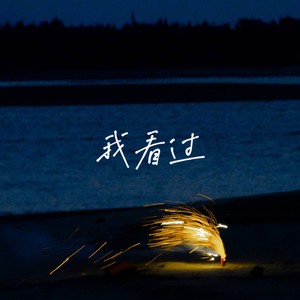 我看过
