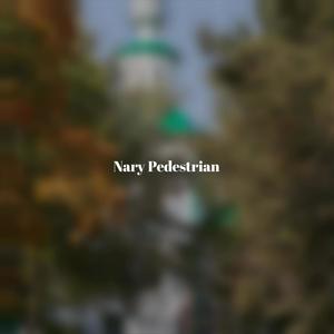 Nary Pedestrian