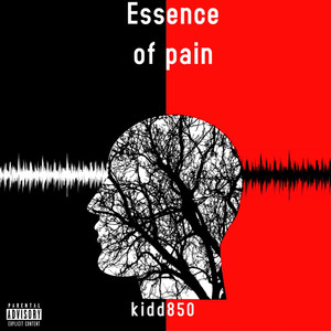 Essence Of Pain (Explicit)