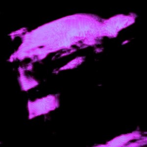 No Chance (Slowed|Explicit)