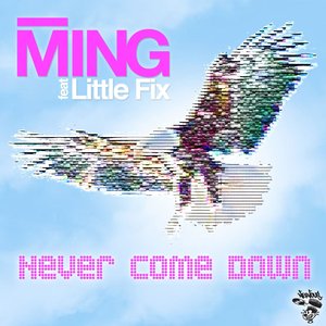 Never Come Down Feat. Little Fix