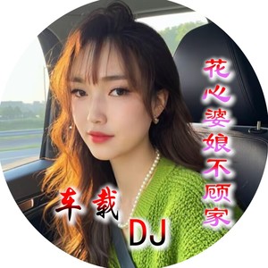 花心婆娘不顾家 车载DJ