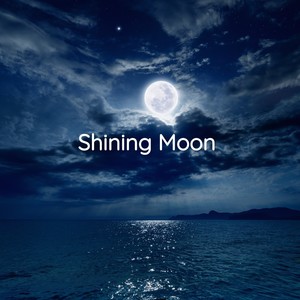 Shining Moon