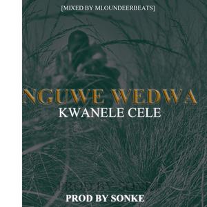 Nguwe Wedwa(feat. Kwanele Sonke) (Explicit)