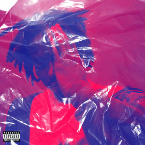 Never Lose Myself (Explicit)
