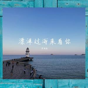 漂洋过海来看你 - 小提琴版 (COVER版)