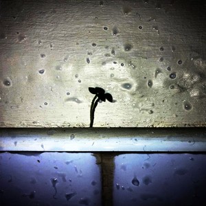 Лирика (Explicit)