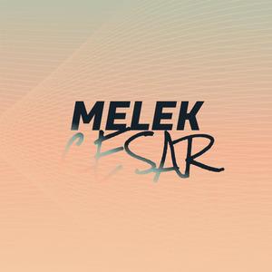 Melek Cesar