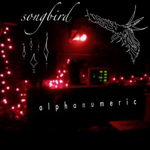 the weight of my eyelids