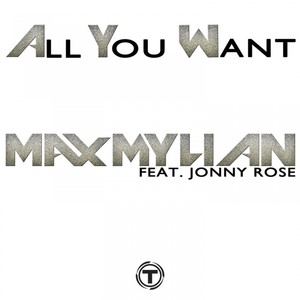 All You Want (Extended Mix)