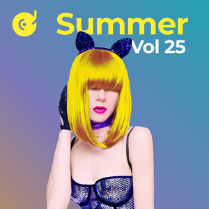 Summer Hits, Vol. 25