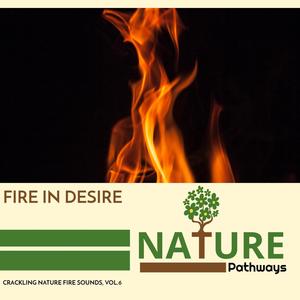 Fire in Desire - Crackling Nature Fire Sounds, Vol.6