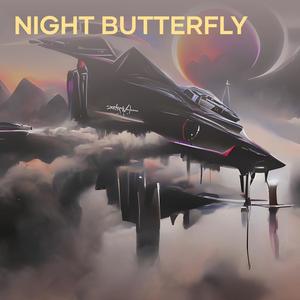 Night Butterfly