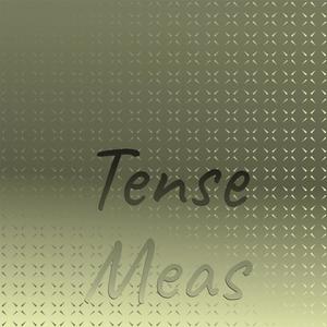 Tense Meas