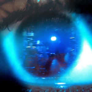 Faded Love (feat. Rekz!)