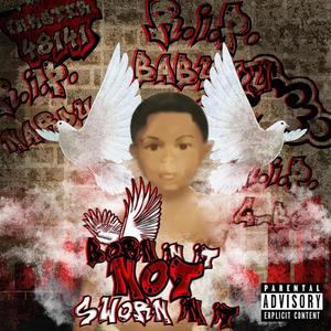 Opinions (Explicit)