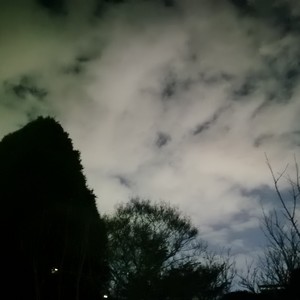 小白船 (纯音乐版)