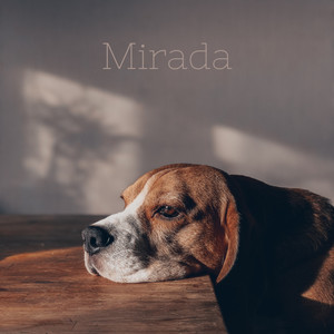 Melody Of Life - Mirada 9