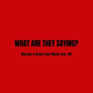 What are they Saying? (feat. INF of Swidt) [Radio Edit]