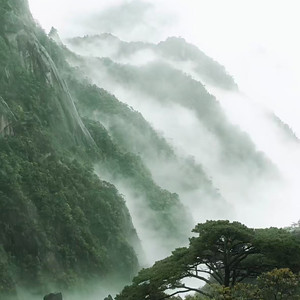 心火怎甘心扬汤止沸 (DJ氛围版)