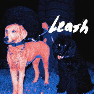 Leash