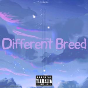 Different Breed (Explicit)